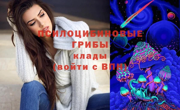 Альфа ПВП Верхний Тагил